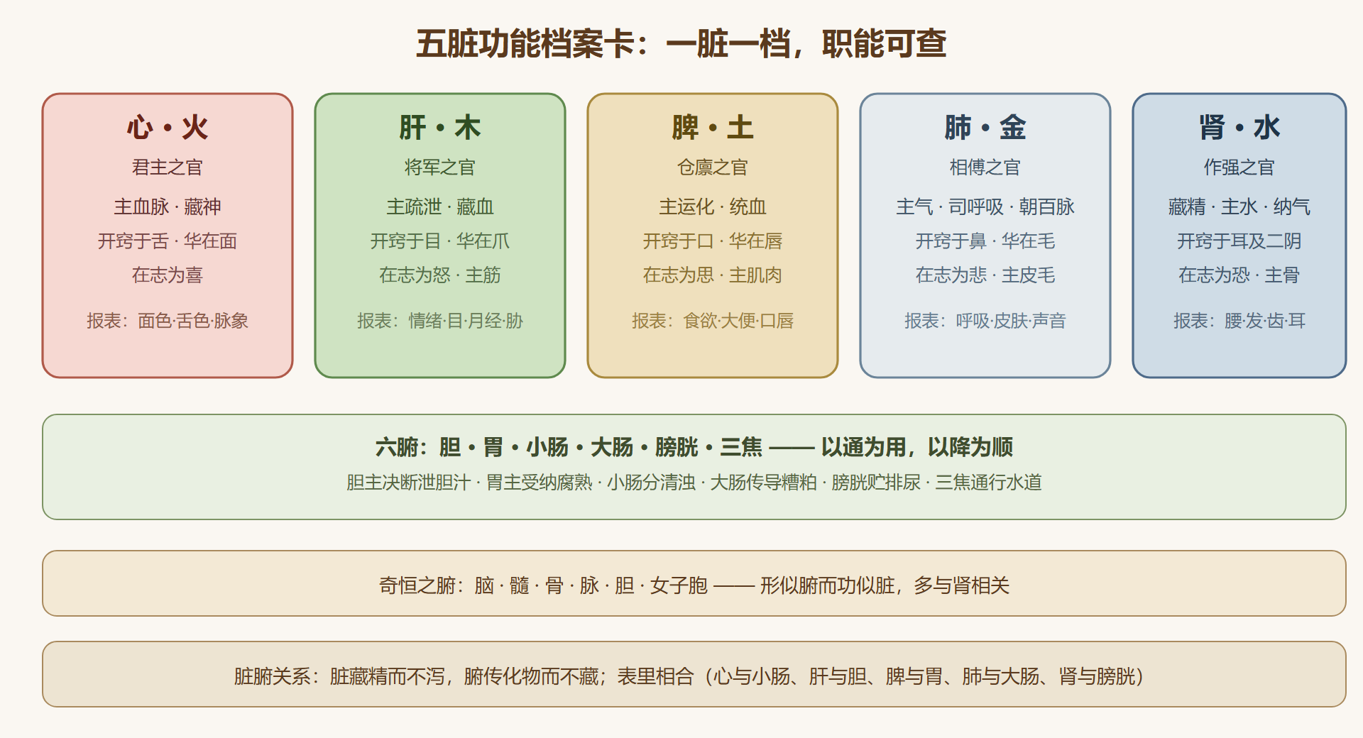 五脏功能档案卡