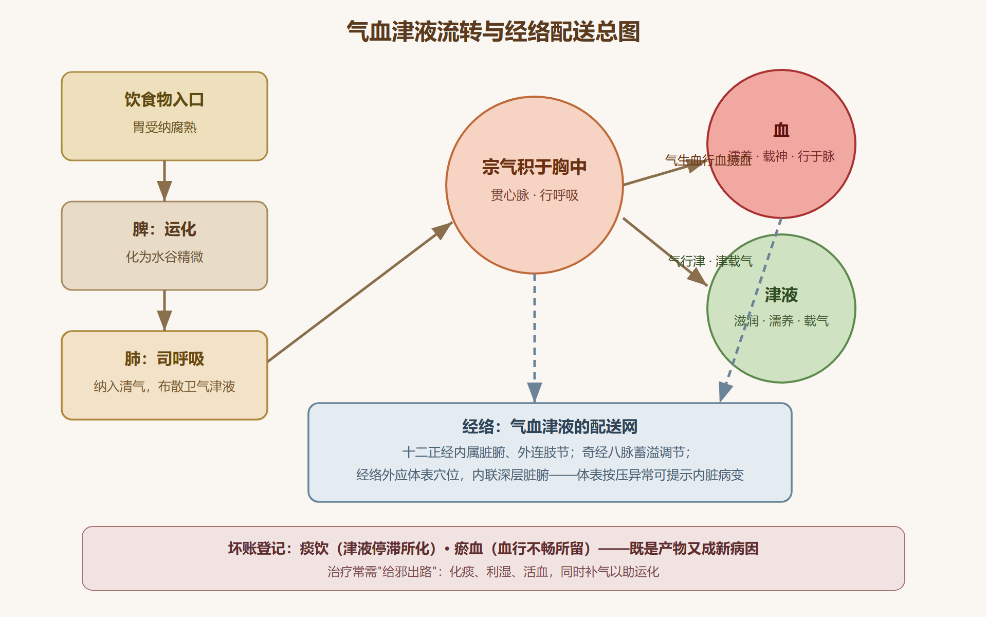 气血津液流转总图