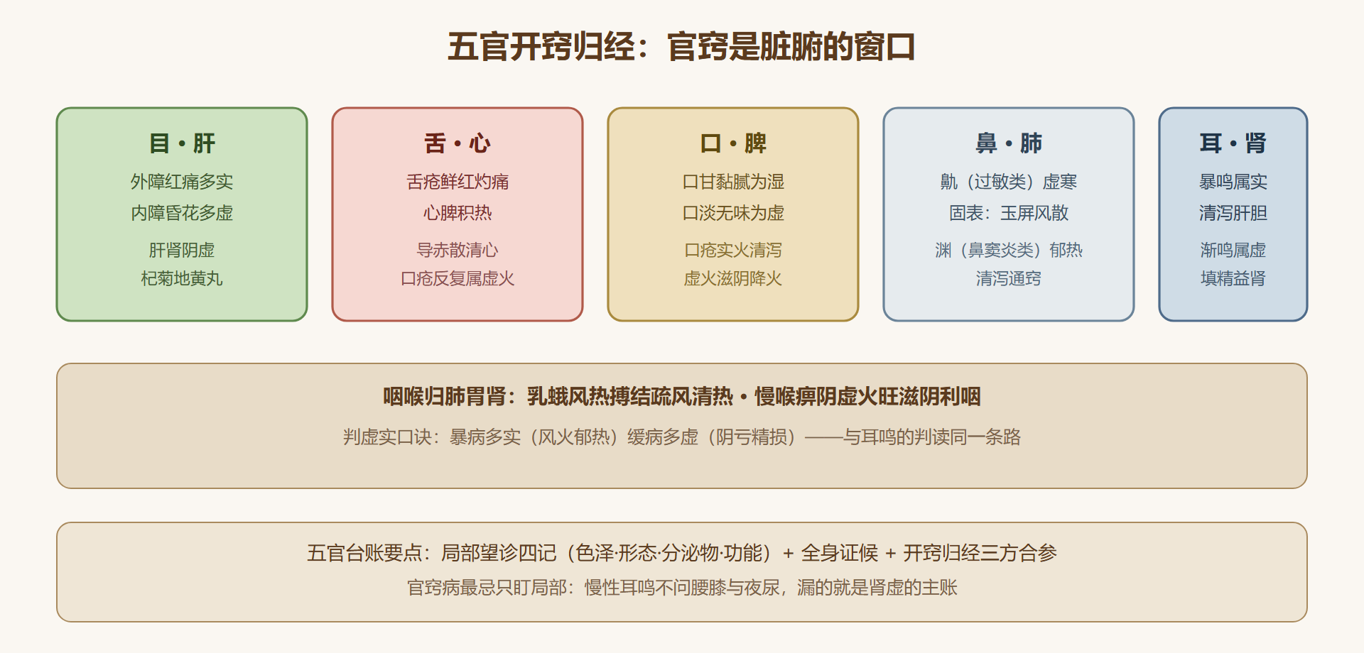 五官开窍归经卡
