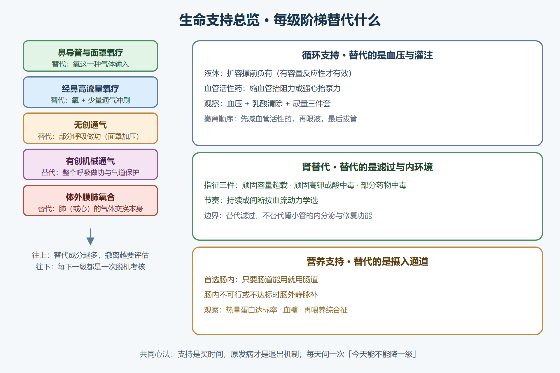 图 5-4:呼吸支持阶梯与器官支持总览
