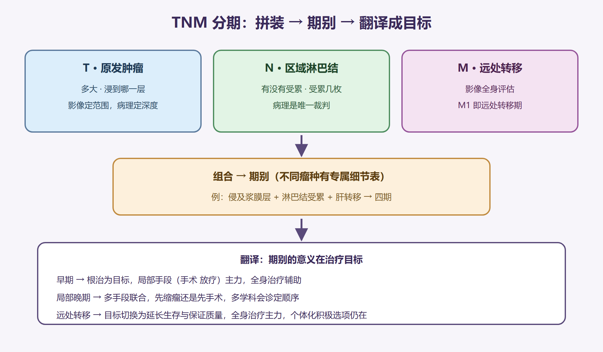 图 6-3：TNM 分期拼装与翻译板