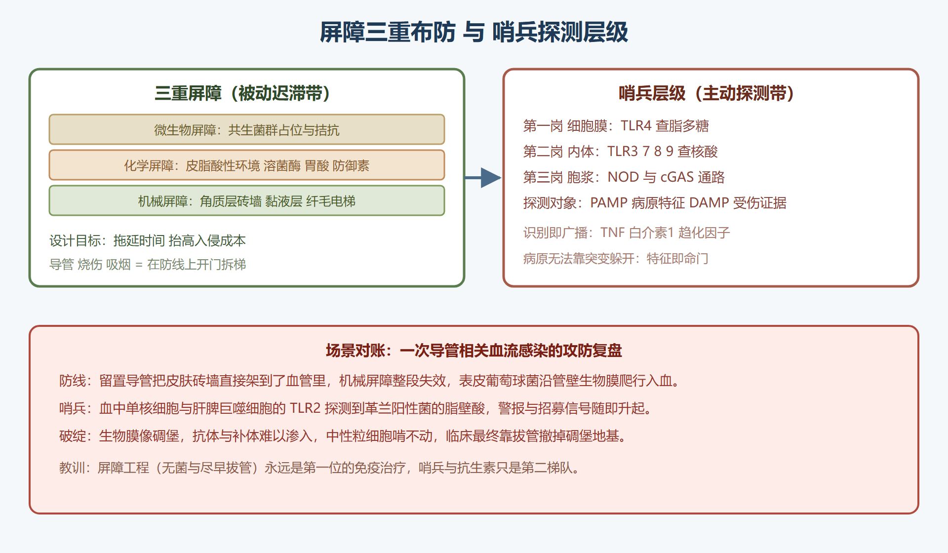 图 2-1:屏障与哨兵——最外沿的防御带