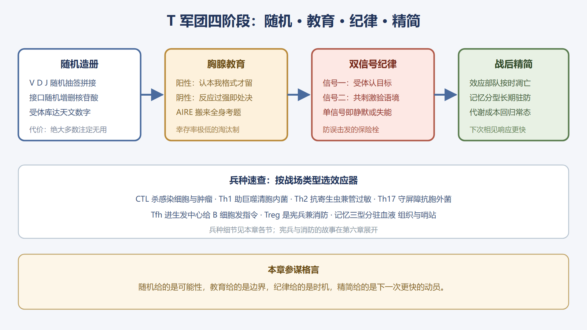 图 4-0:T 军团养成与作战全链路