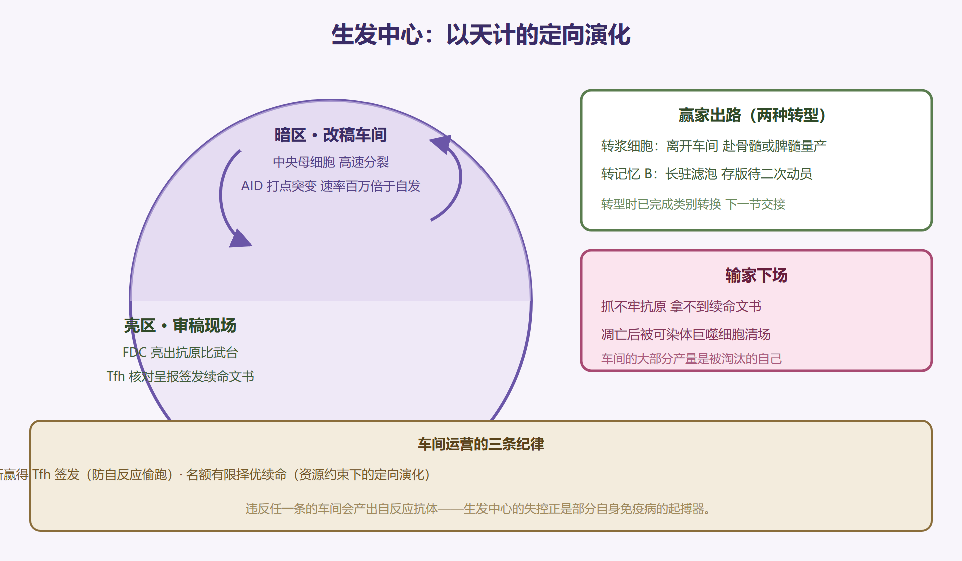 图 5-2：生发中心车间——暗区改稿与亮区审稿