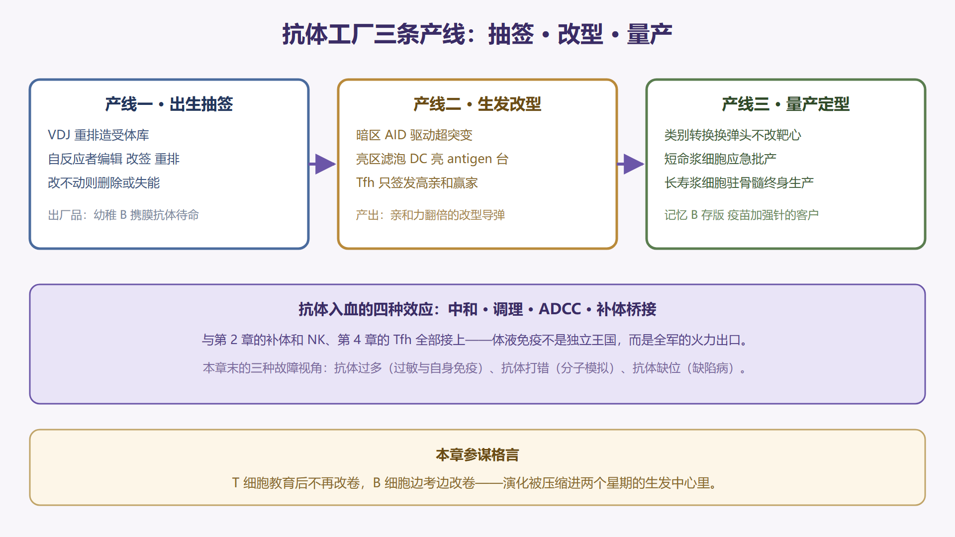 图 5-0:抗体工厂全景——从抽签到量产