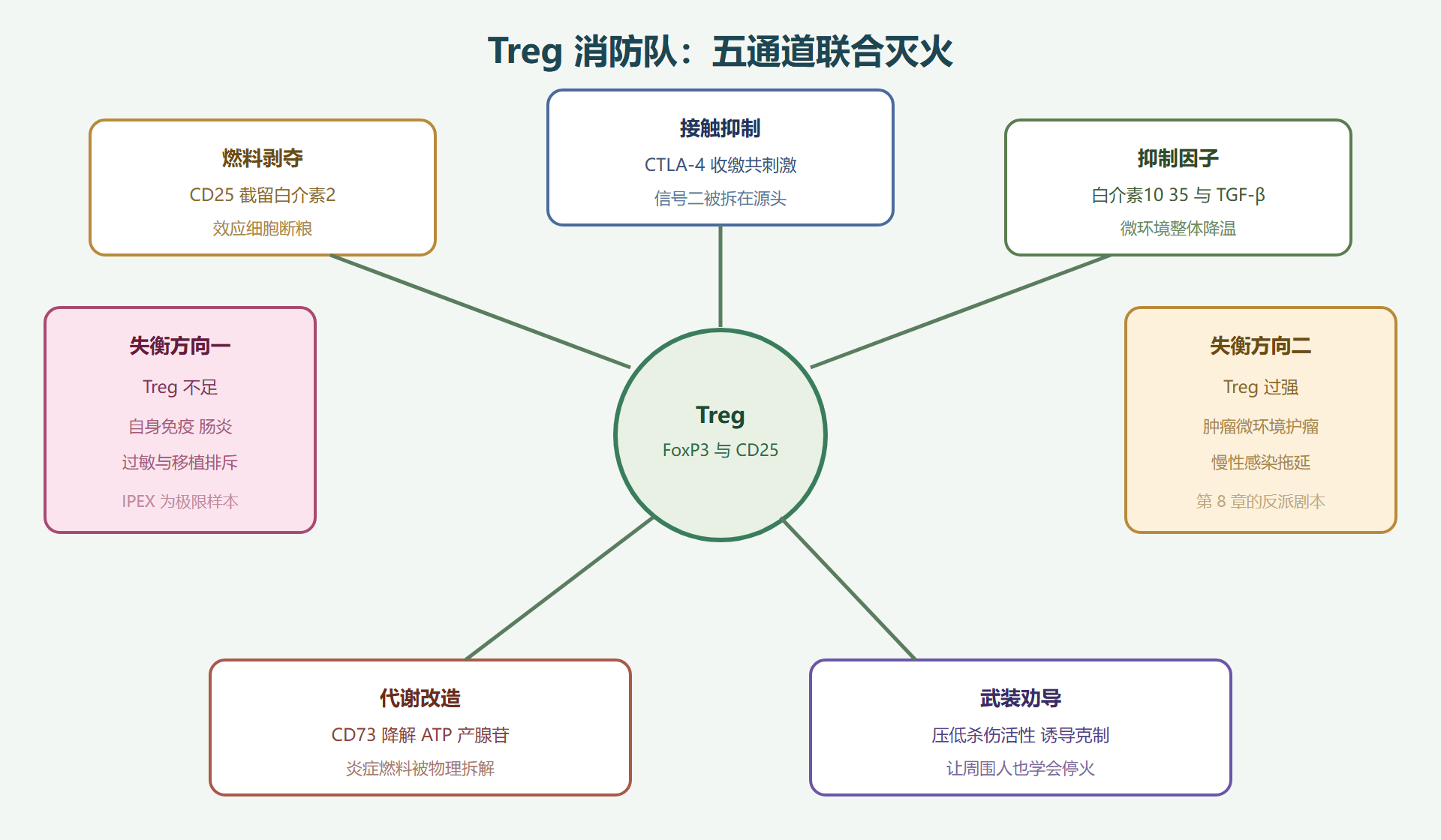 图 6-2:Treg 的五通道灭火战术