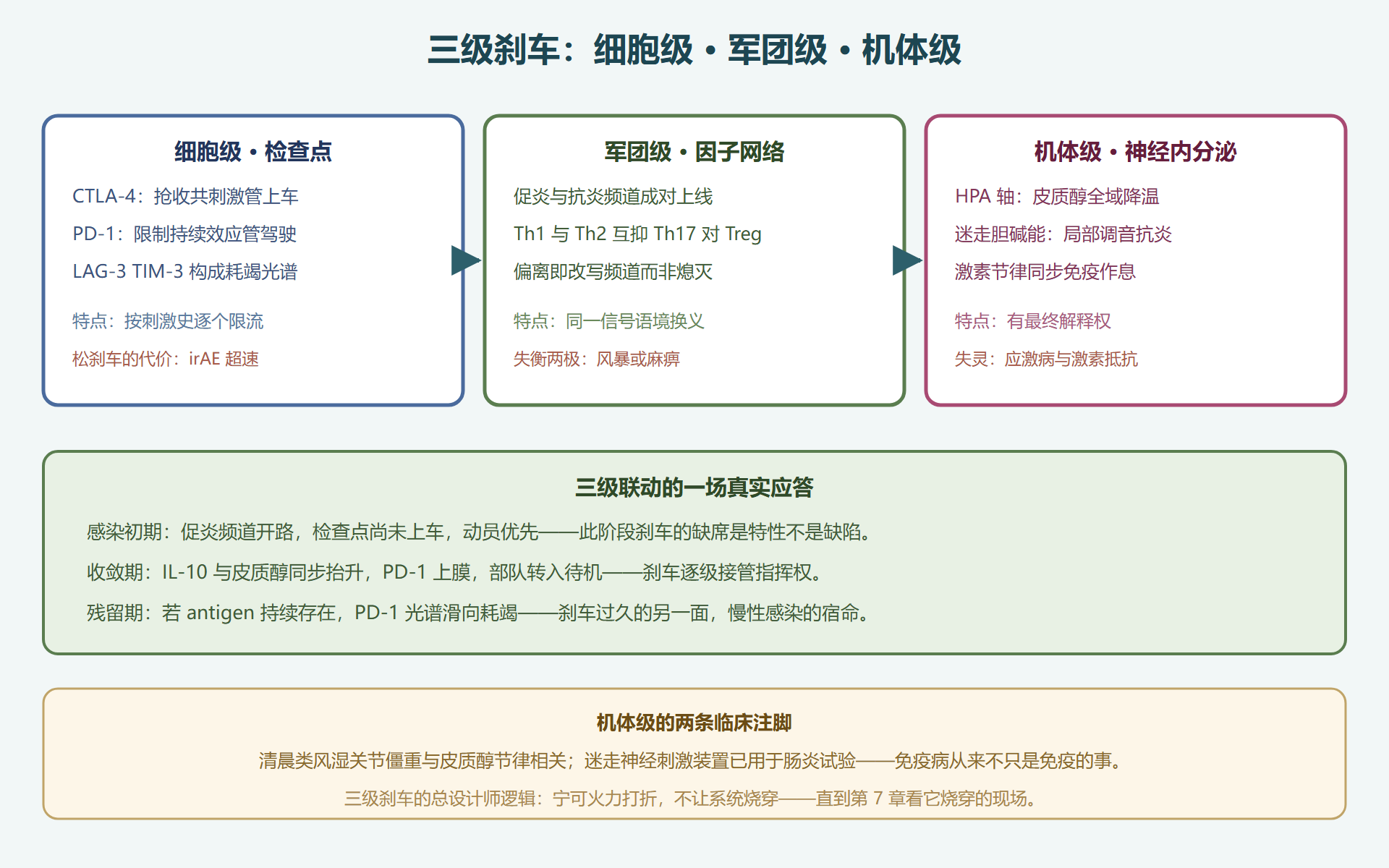 图 6-3:三级刹车与全身调度网