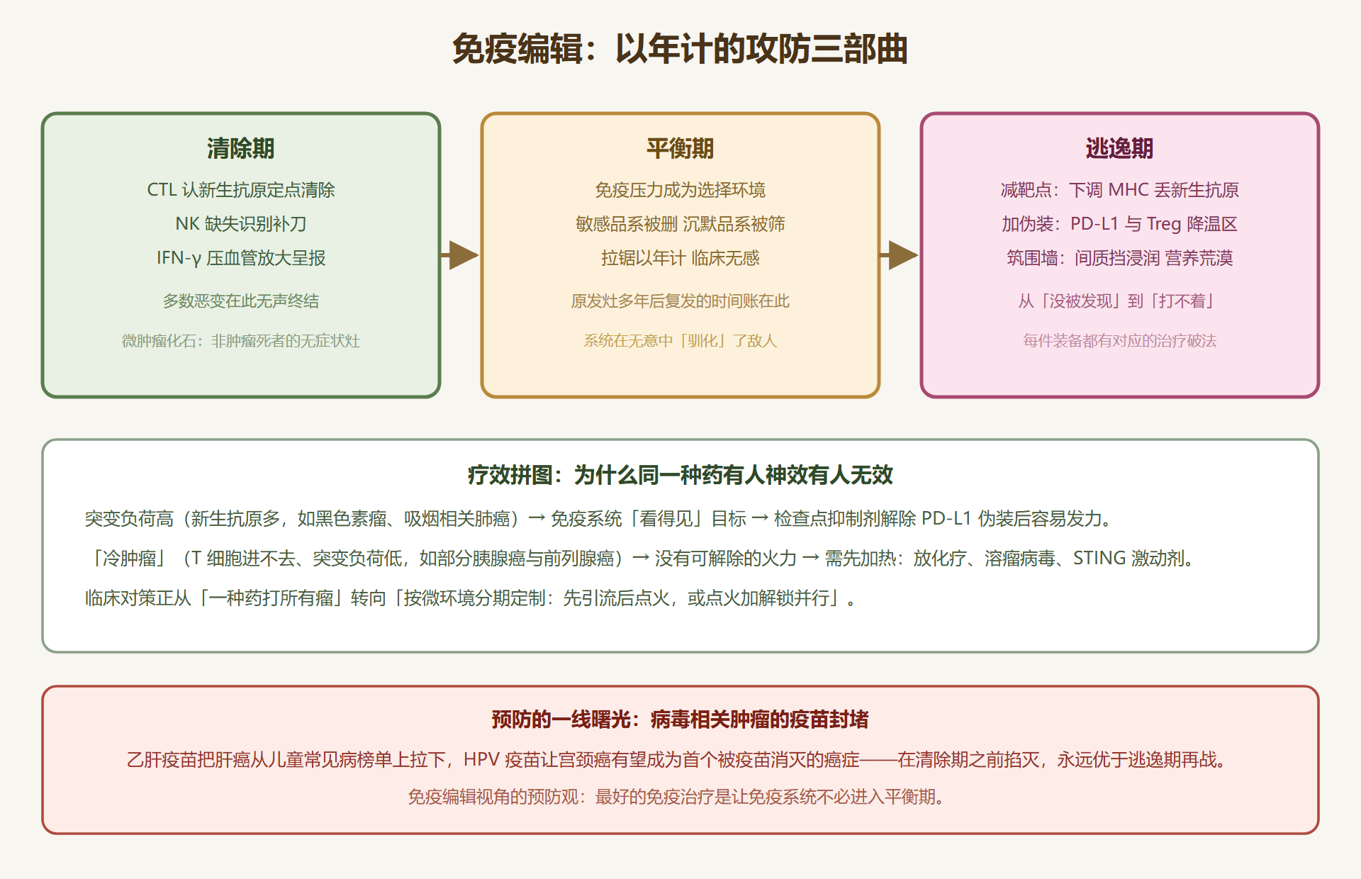 图 8-2:免疫编辑三部曲与逃逸三件套
