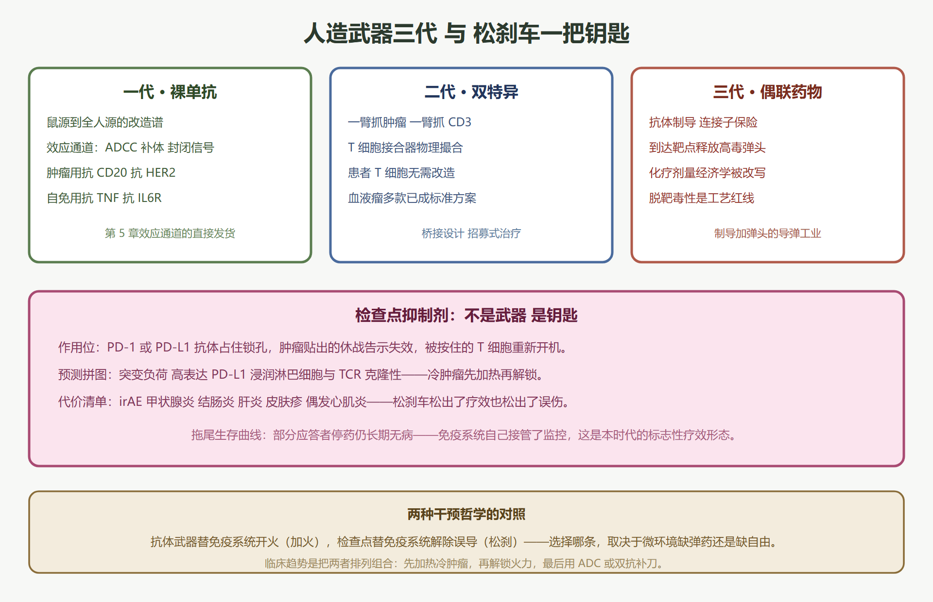 图 10-2：抗体药物三代形态与检查点松刹车