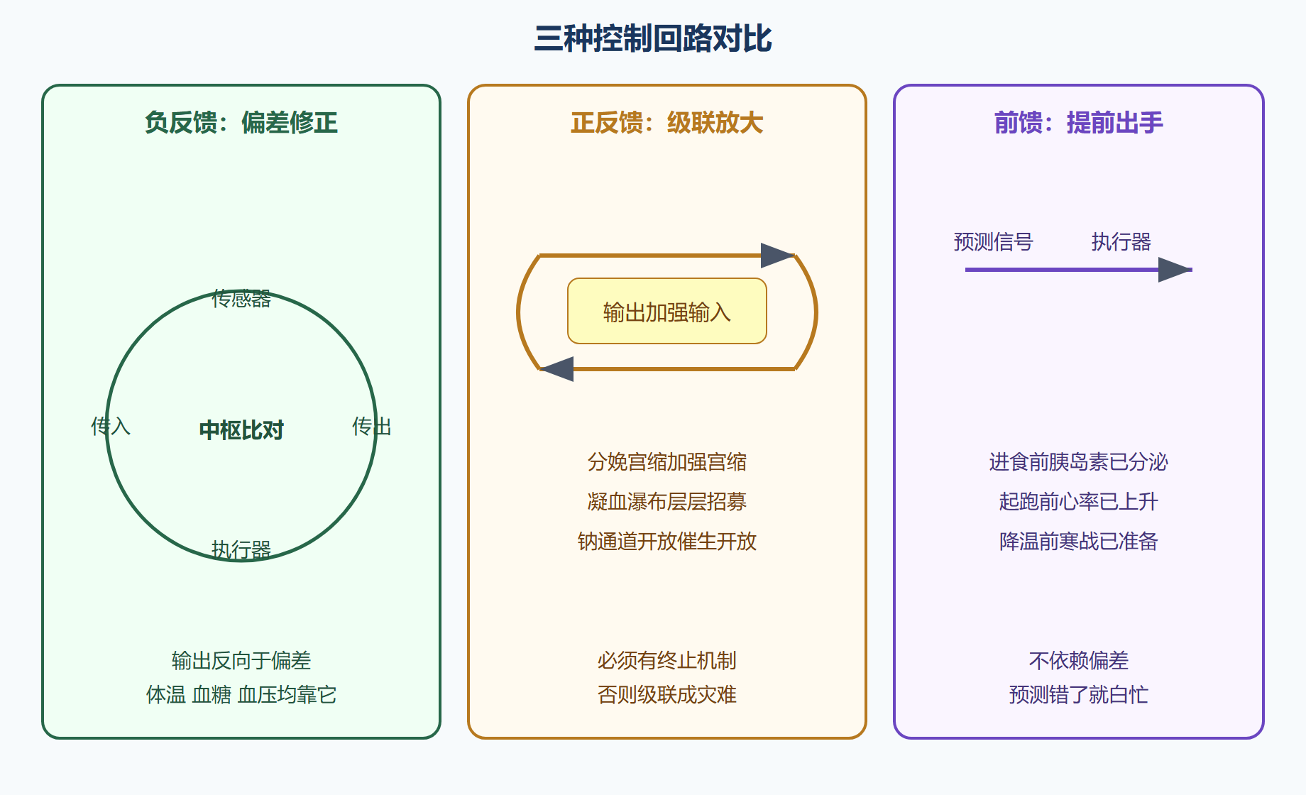 回路的五个部件