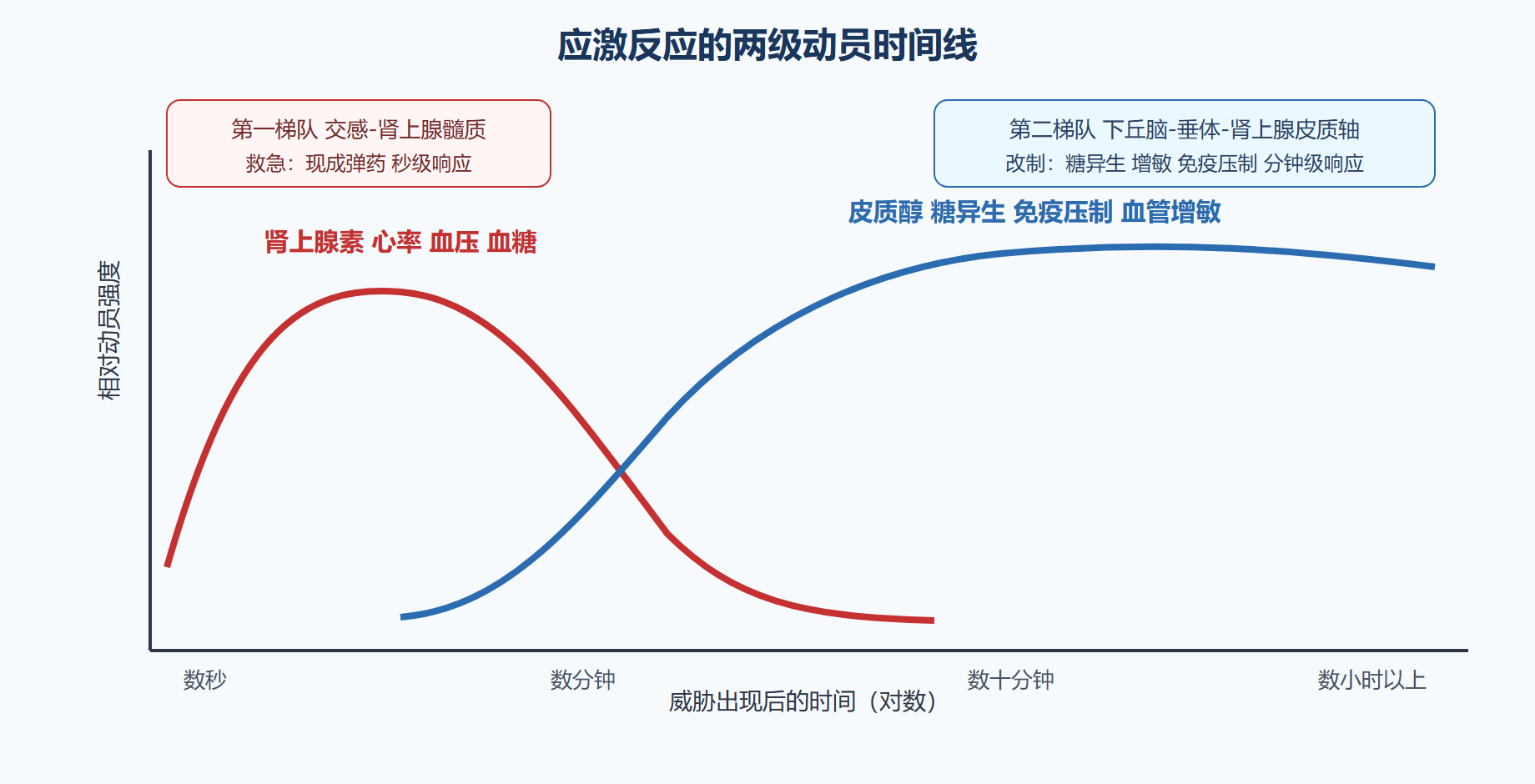 应激反应：两级动员，三个数量级的时间差