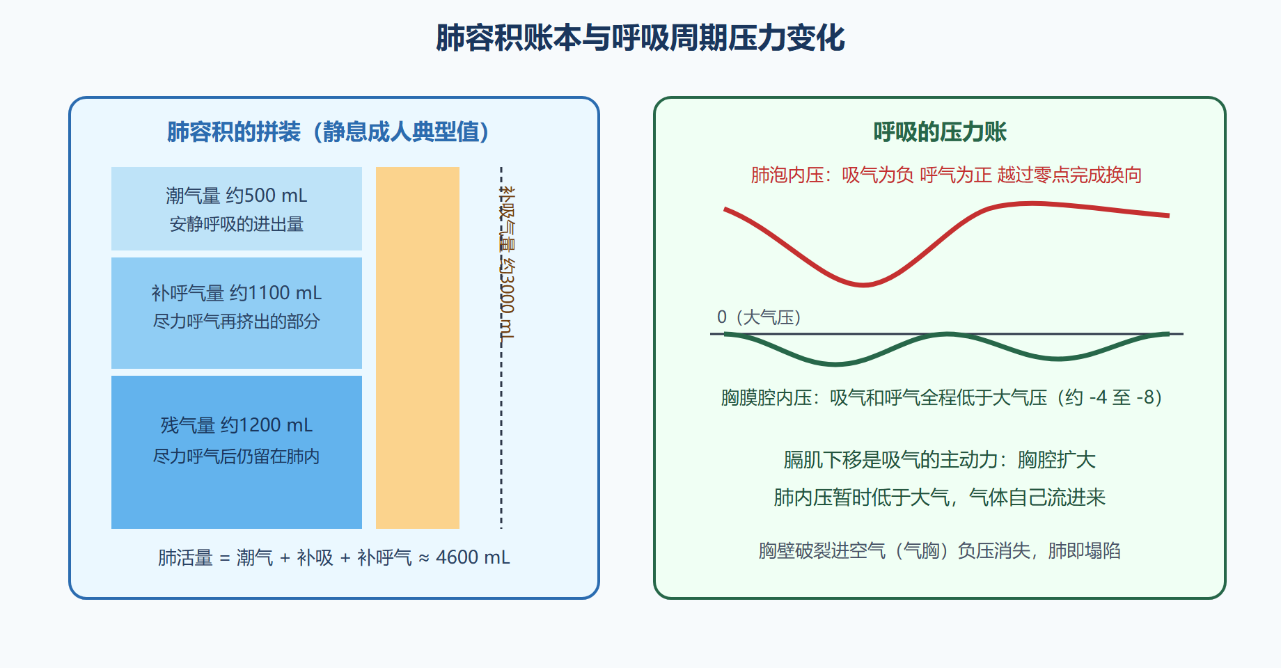 风路设计:从大气道到呼吸膜