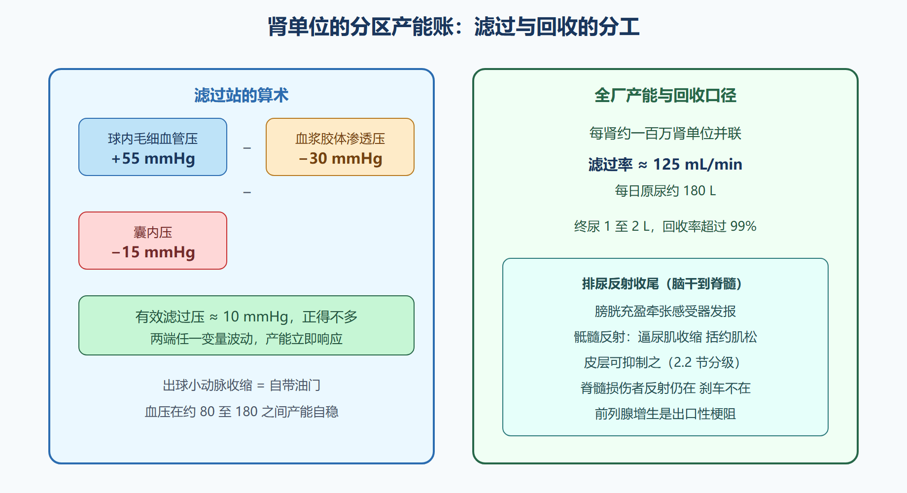 有效滤过压：一道减法与两个口径