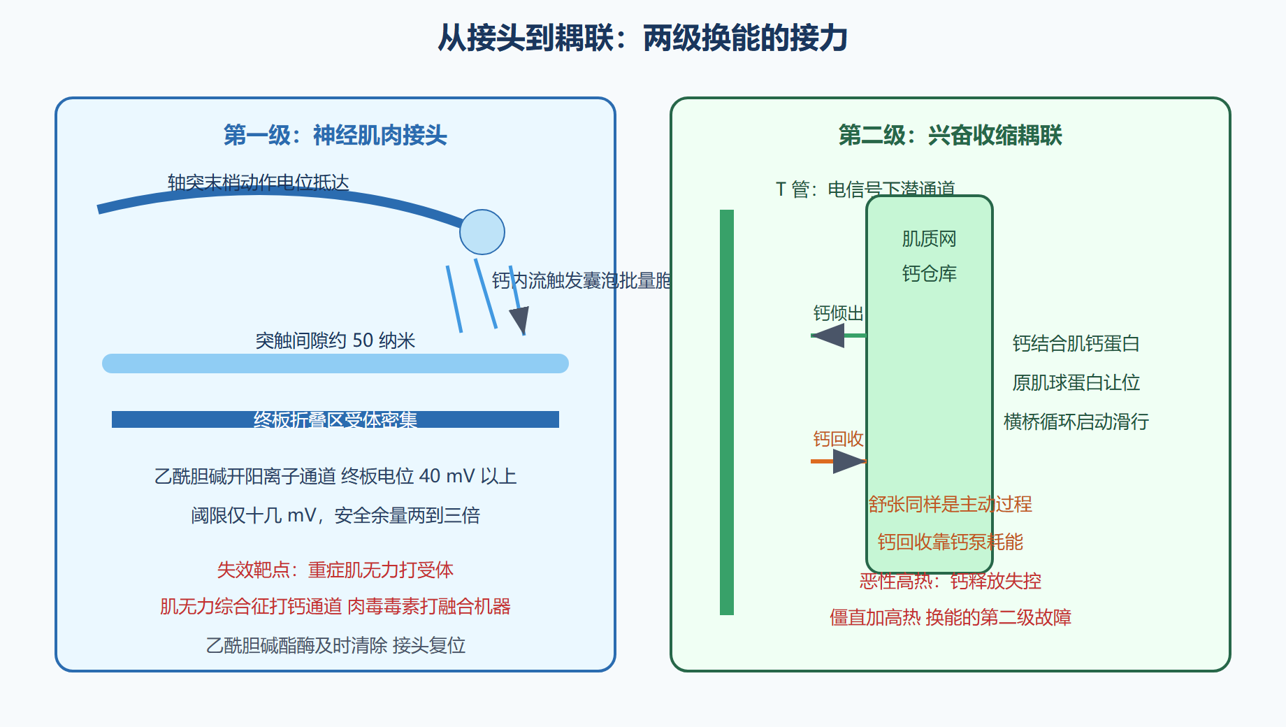 接头传递:安全余量最大的接口