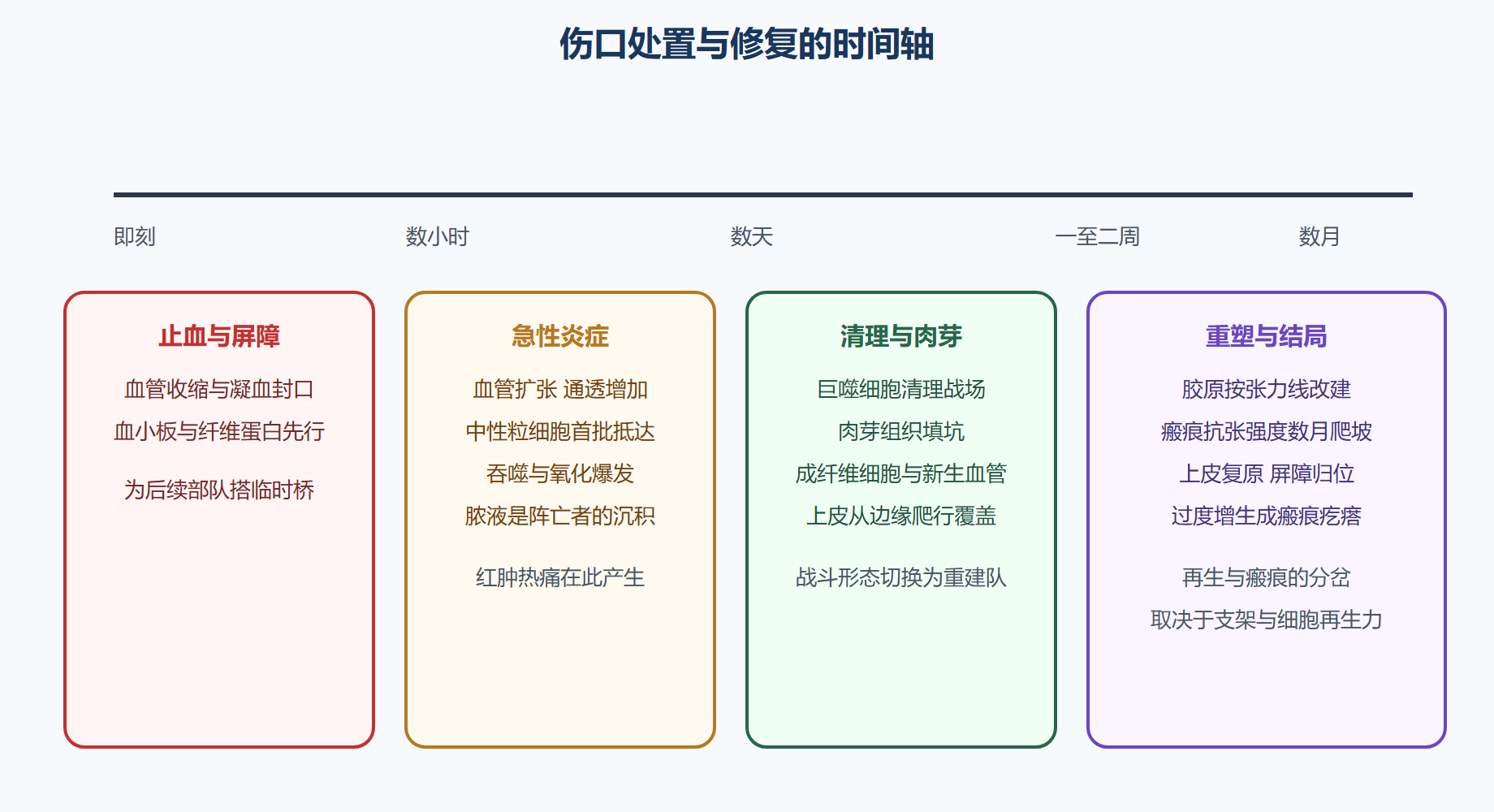 炎症反应:处置现场的完整流程