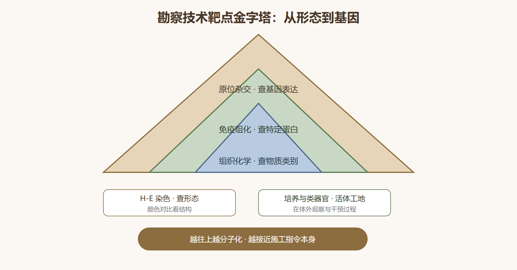 图：勘察技术的靶点层次