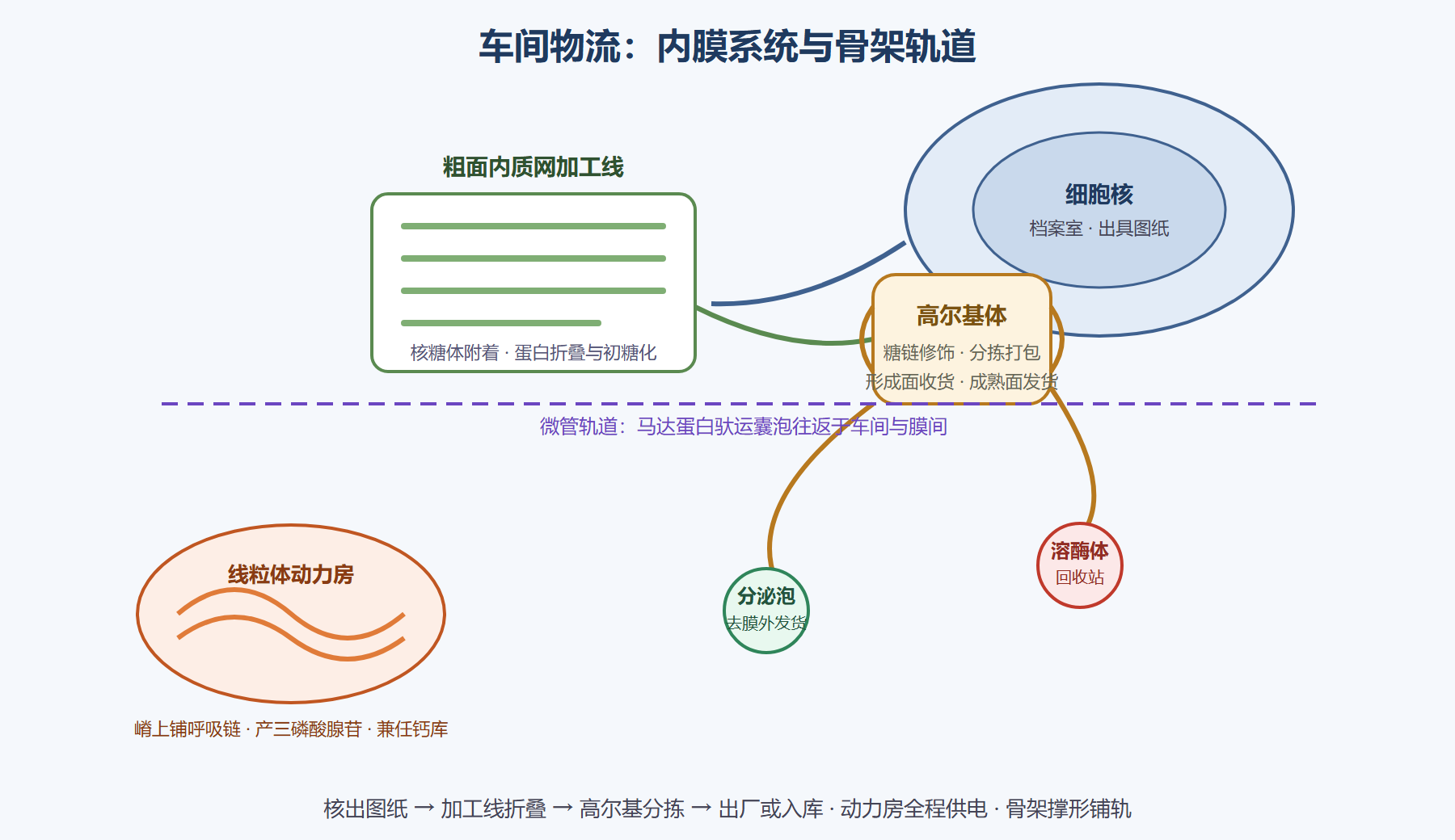 图:细胞车间内部物流总图