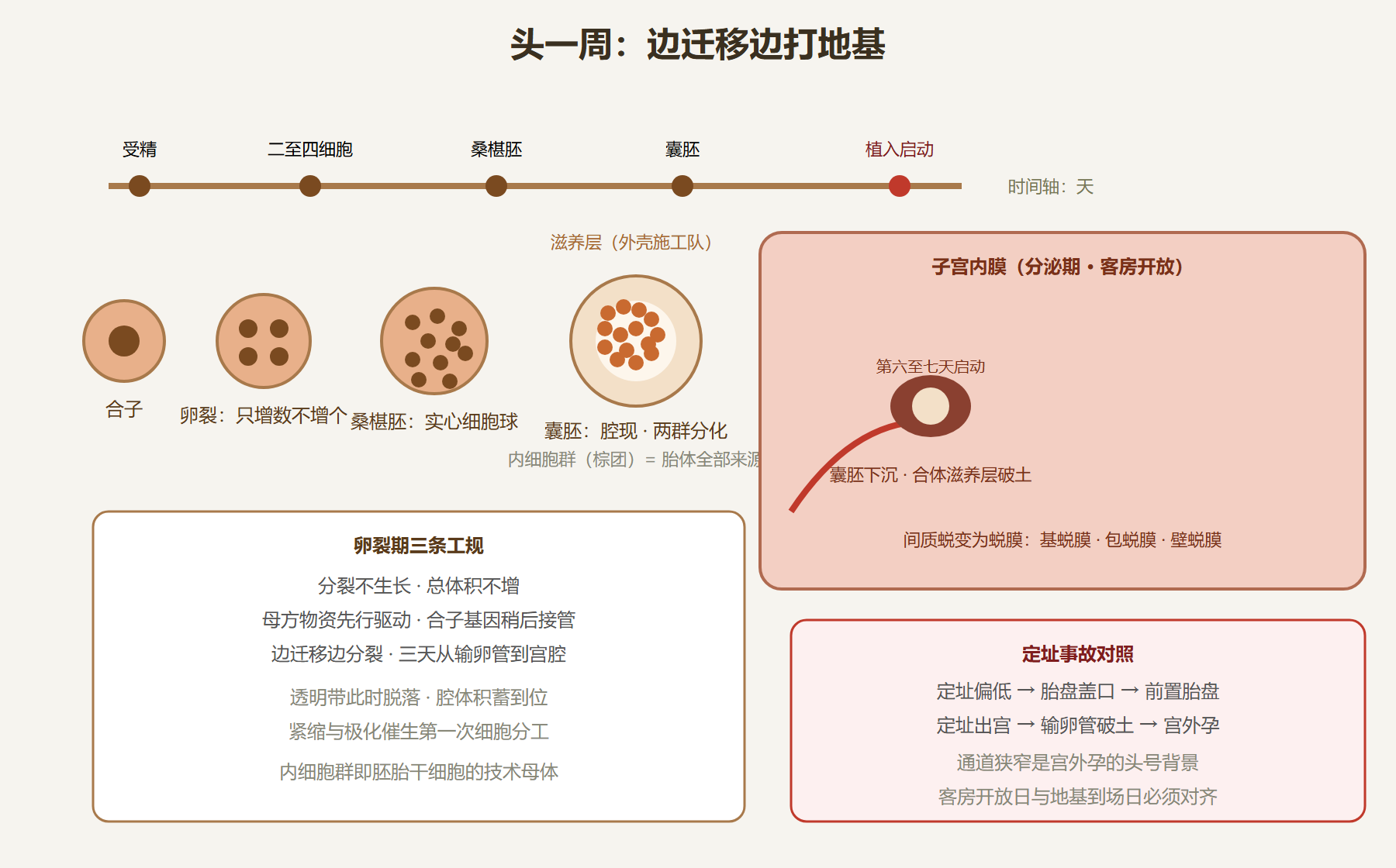 图：头一周施工时序与植入