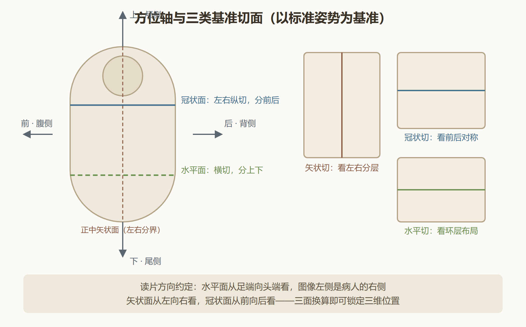 图 1-1：方位轴与三类基准切面