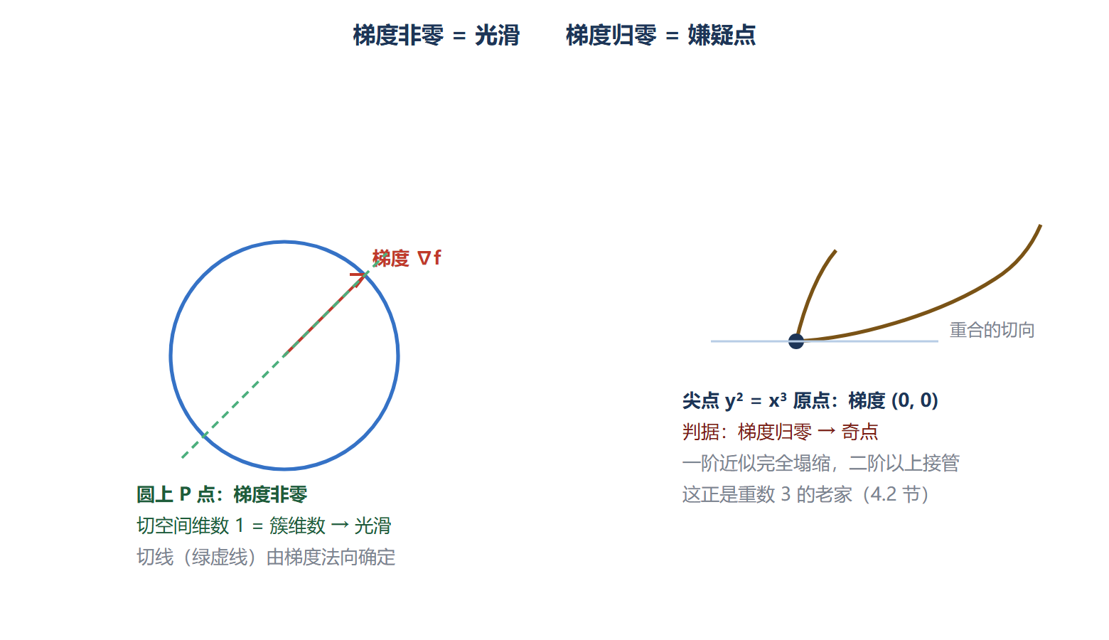 图：梯度判光滑——光滑点与奇点的对峙