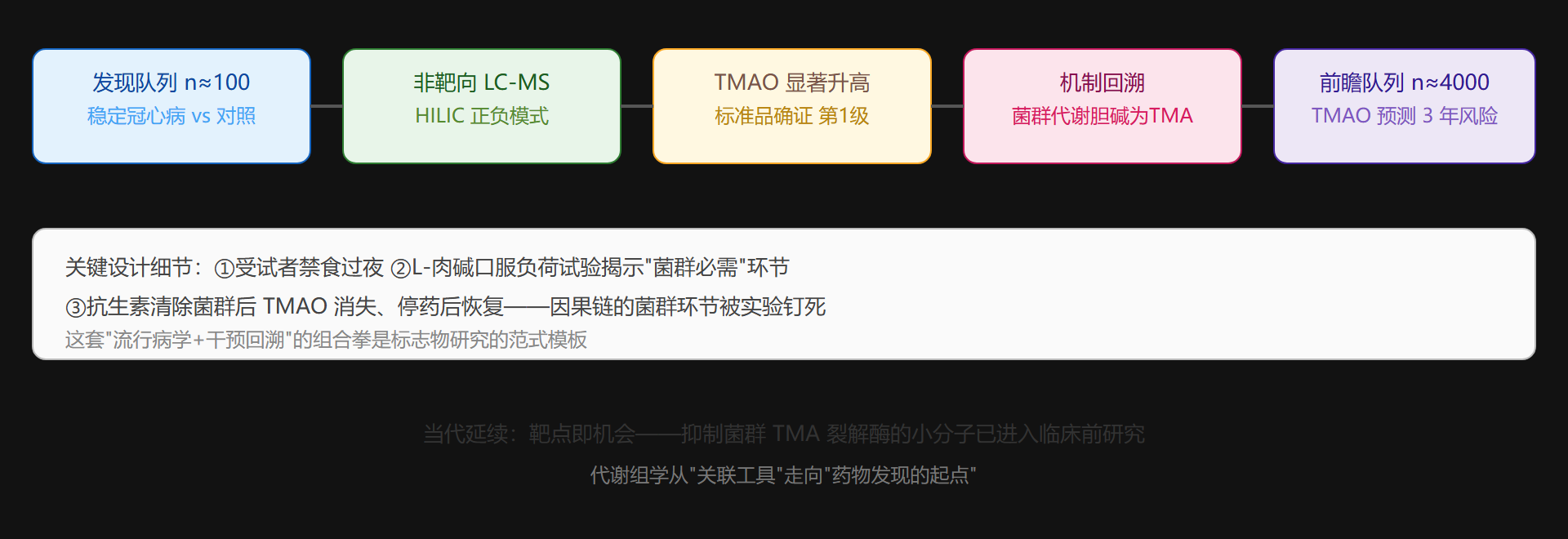 TMAO 研究工作流全景