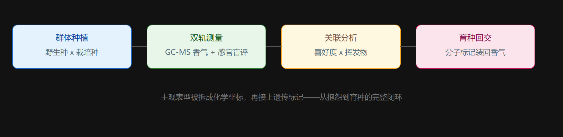 风味组学研究闭环