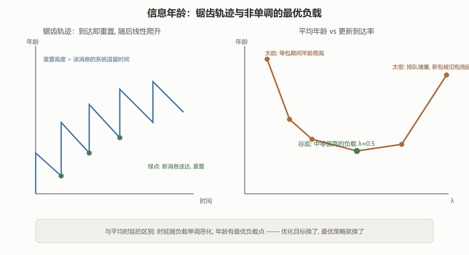 年龄的锯齿轨迹与 U 形权衡