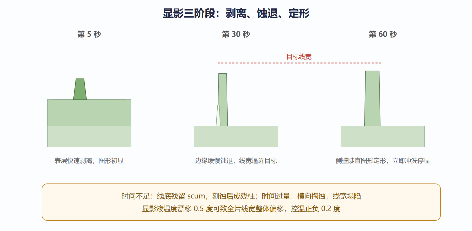 图：显影剖面随时间的演化