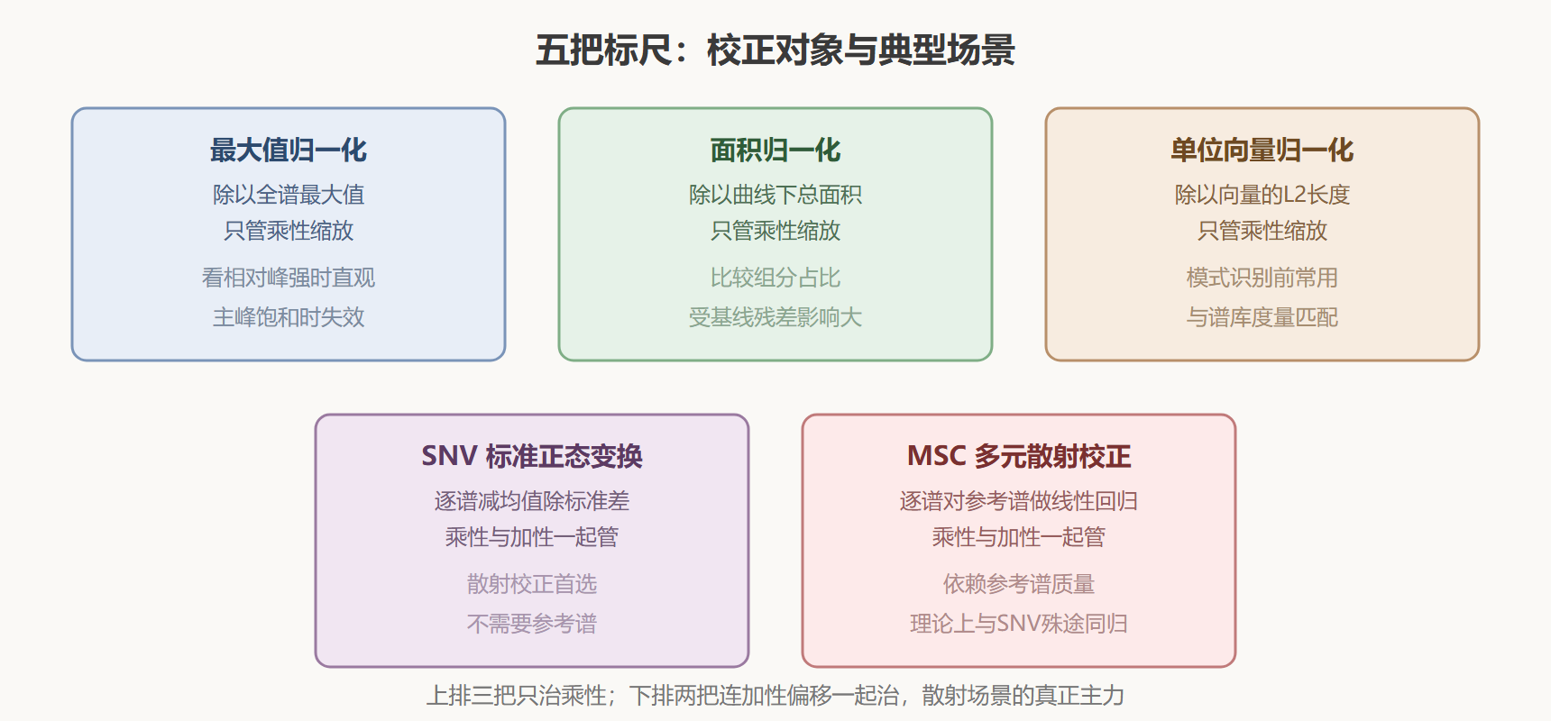图3 归一化与散射校正的五把标尺