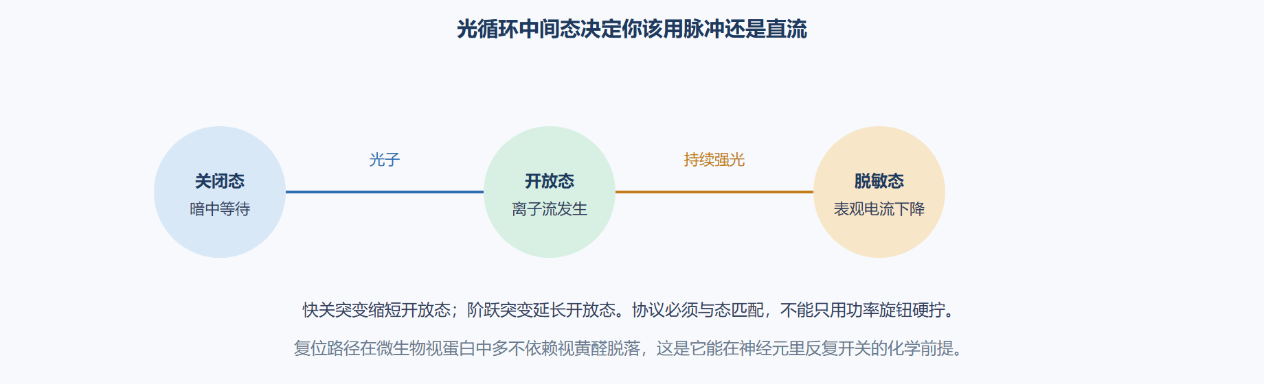 图 光循环中间态如何映射到实验协议