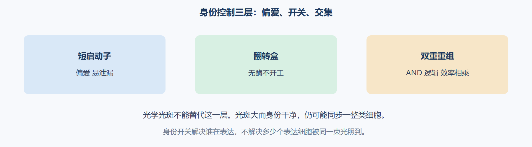 图 从偏爱到布尔身份