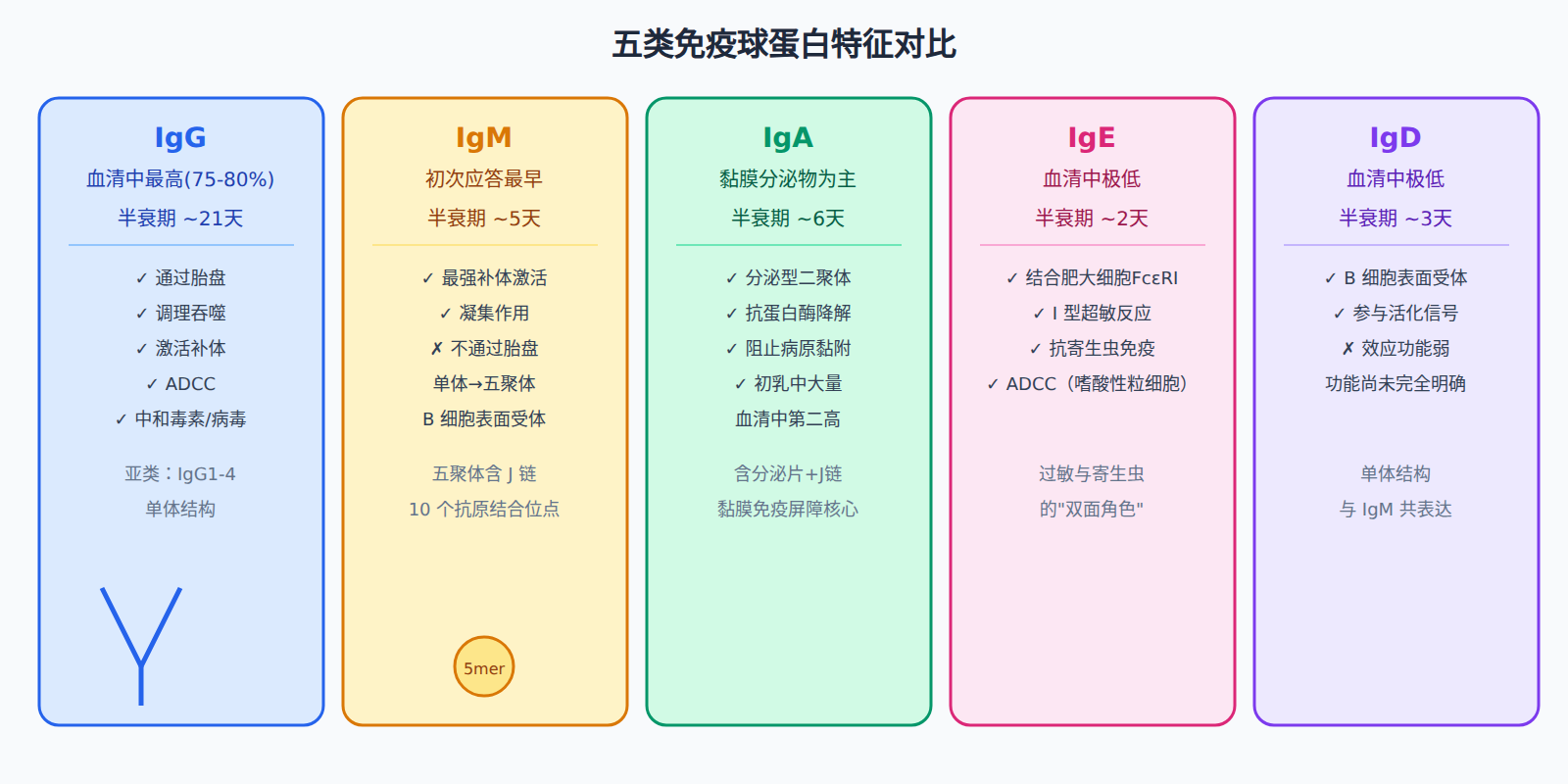 五类免疫球蛋白