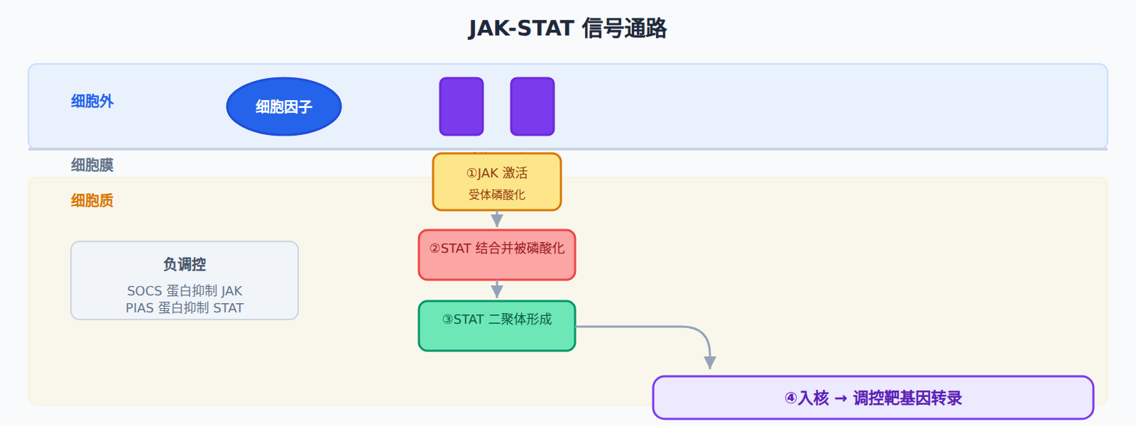 通路概述