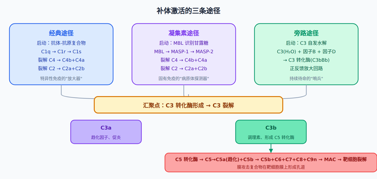 三条激活途径