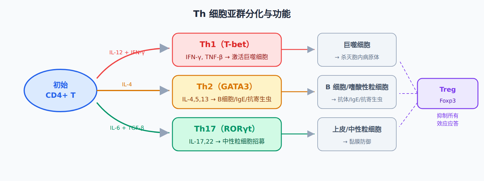 04-02-fig01