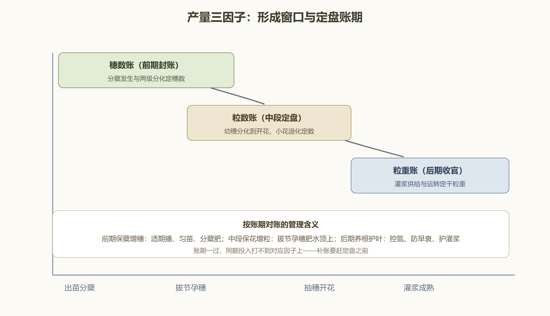 图:产量构成三因子的形成窗口与定盘期