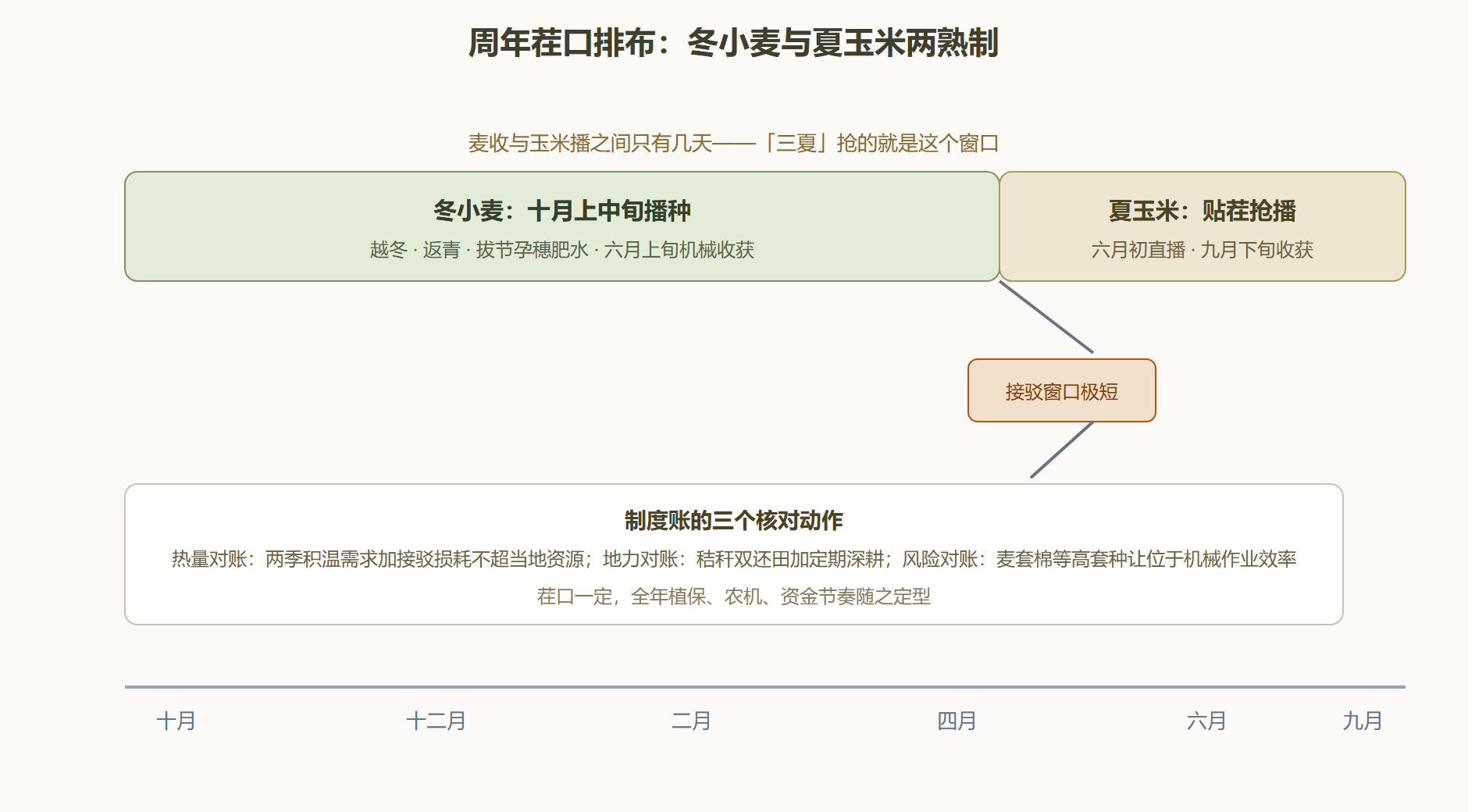 图：黄淮海冬小麦—夏玉米两熟制的周年茬口排布