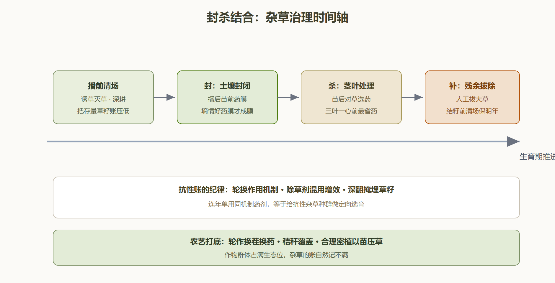 图：杂草治理的封杀结合时间轴