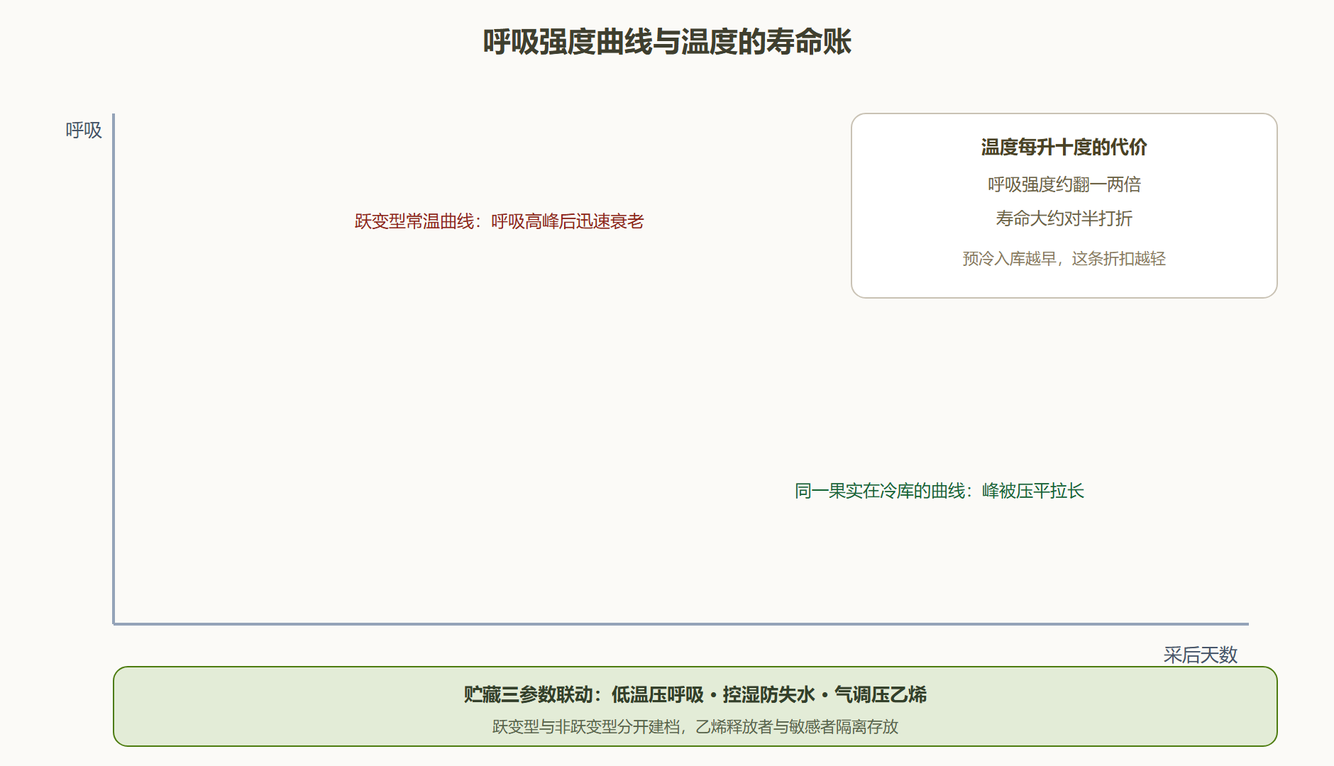 图:呼吸强度曲线与贮藏寿命的温度账