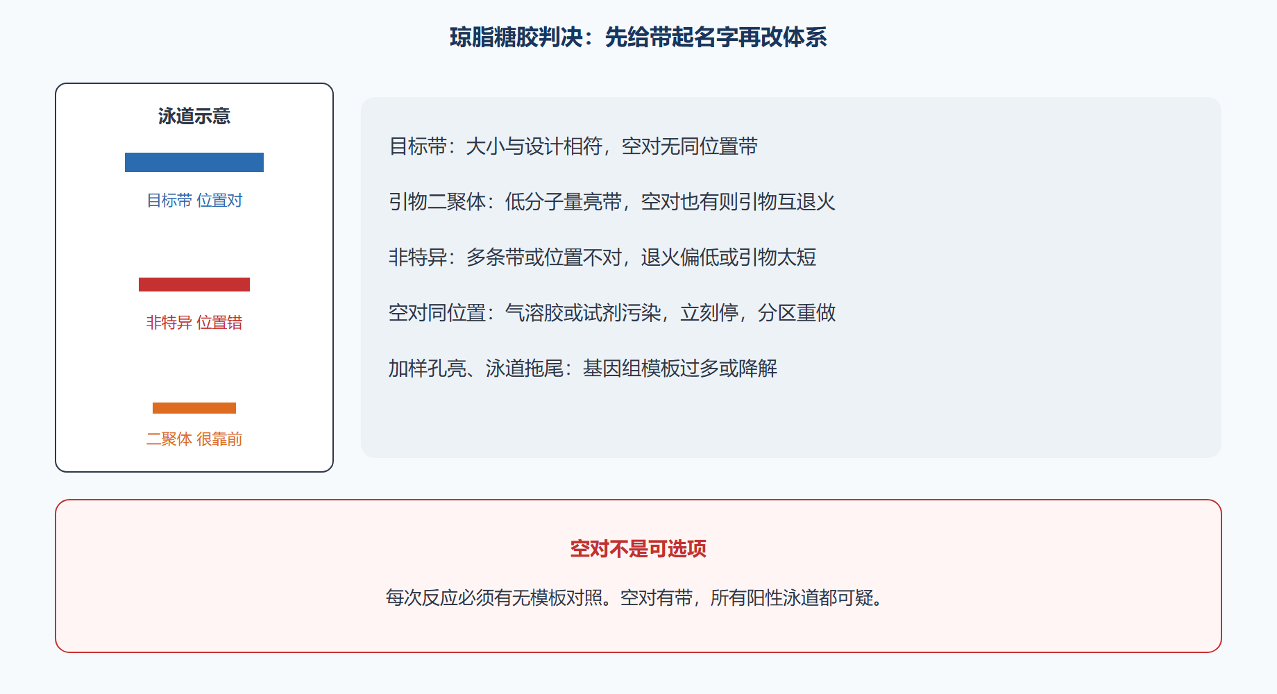 图 胶图词典:四类常见带