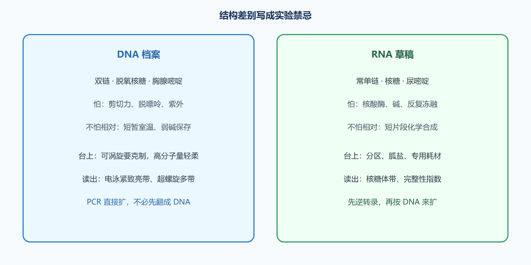 图 DNA 与 RNA 的实验约束对照