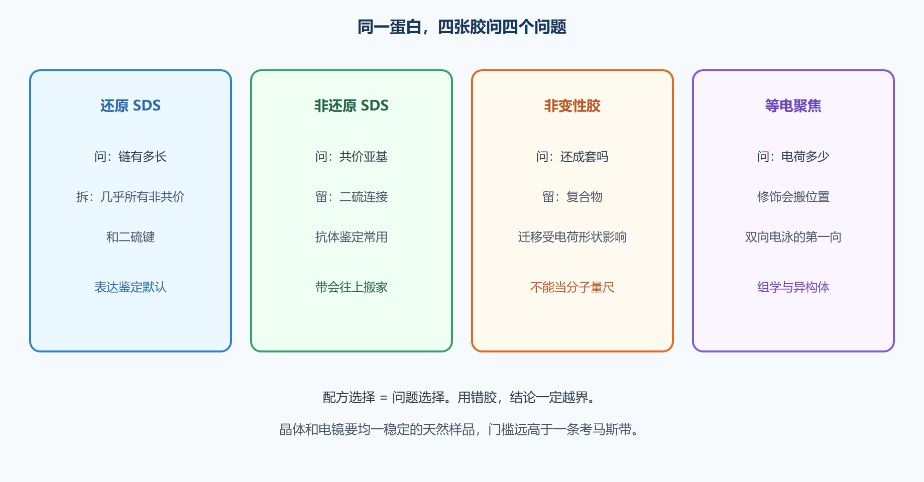 图 同一蛋白在不同胶上的命运