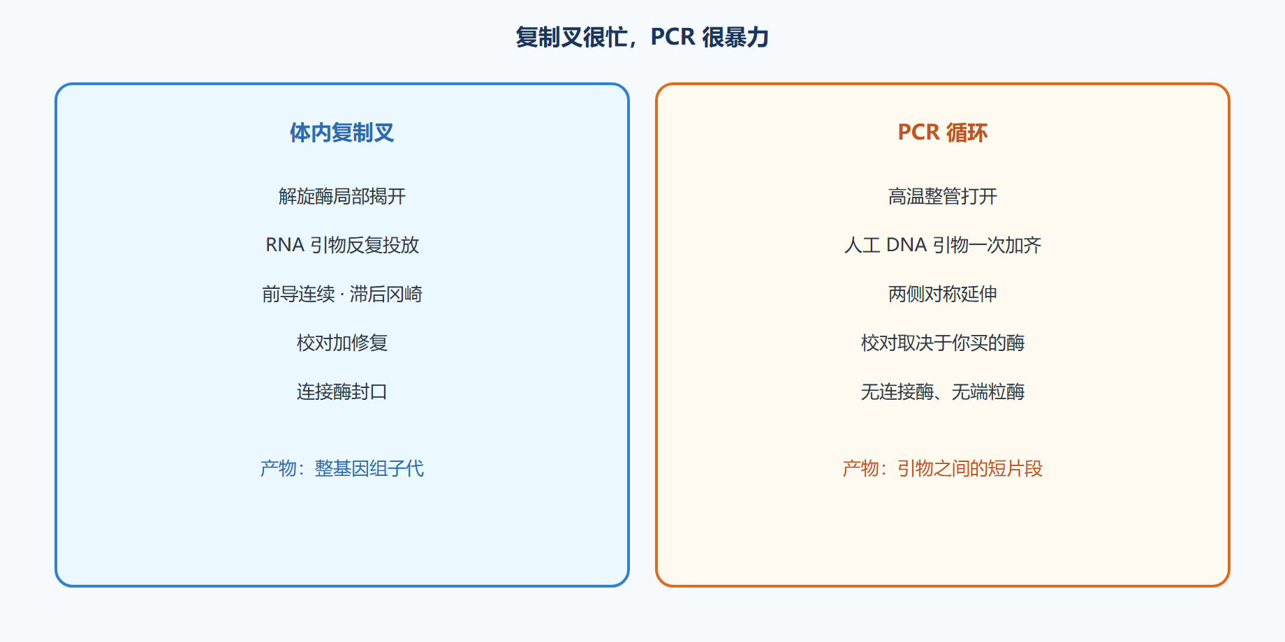 图 复制叉与 PCR 循环对照