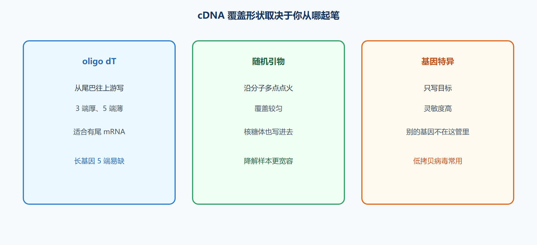 图 三种引物的覆盖形状