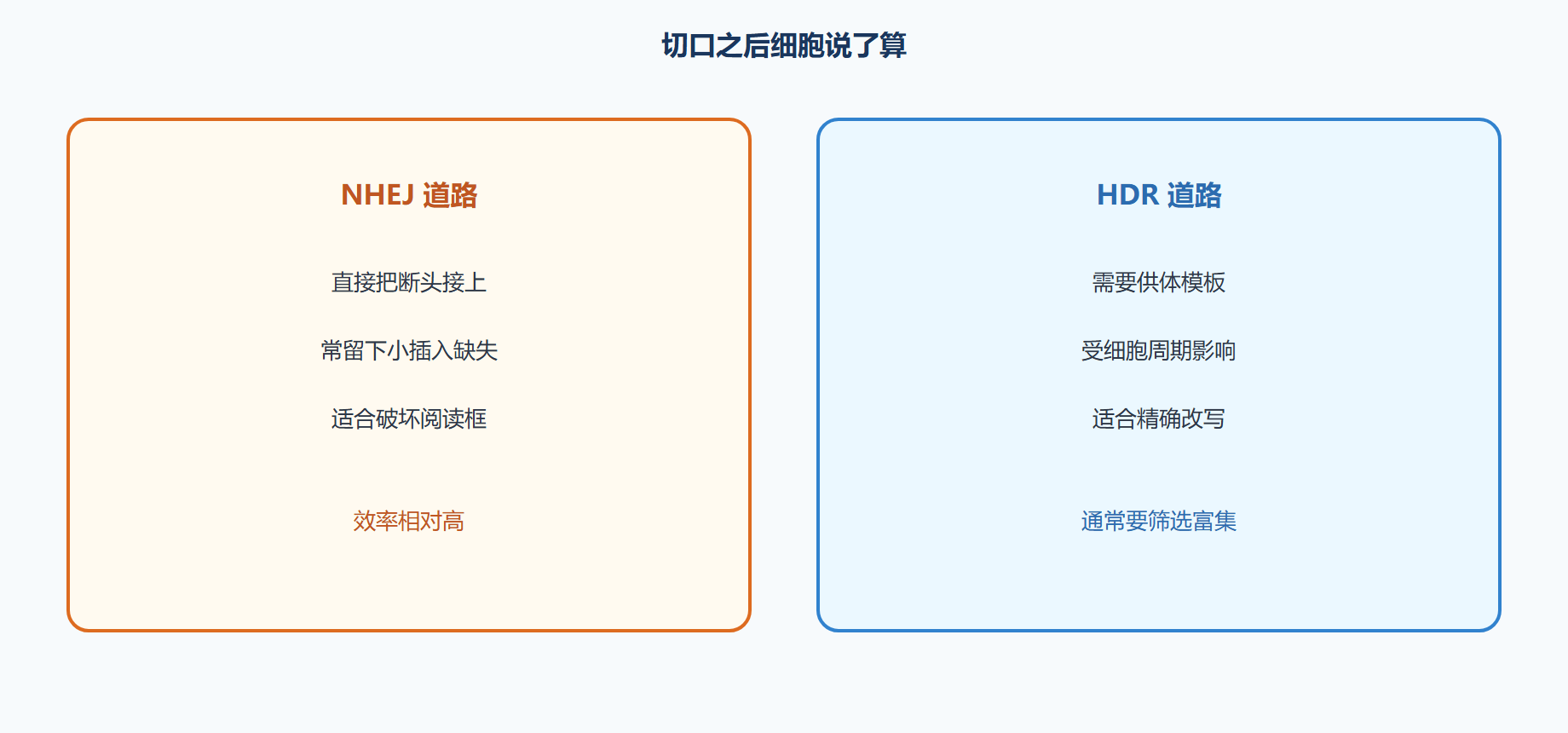 图 NHEJ 与 HDR 两条修路