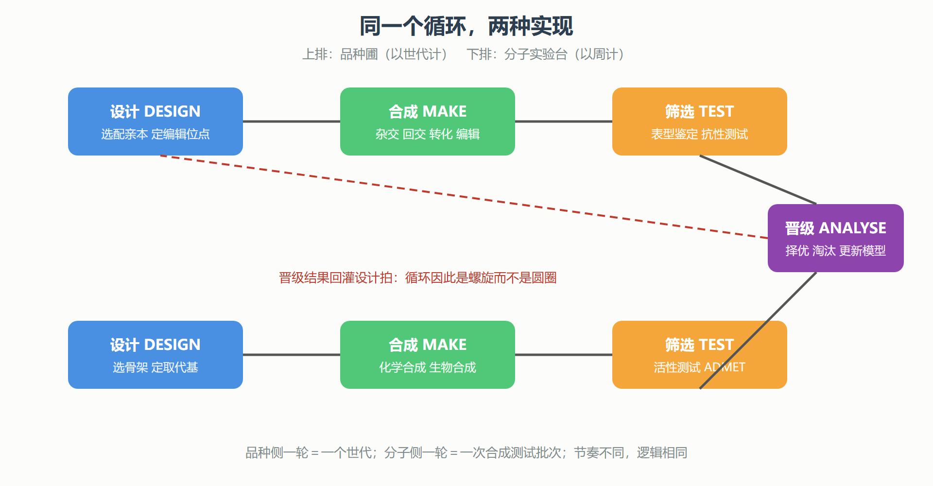 图:品种圃与分子实验台的同构循环