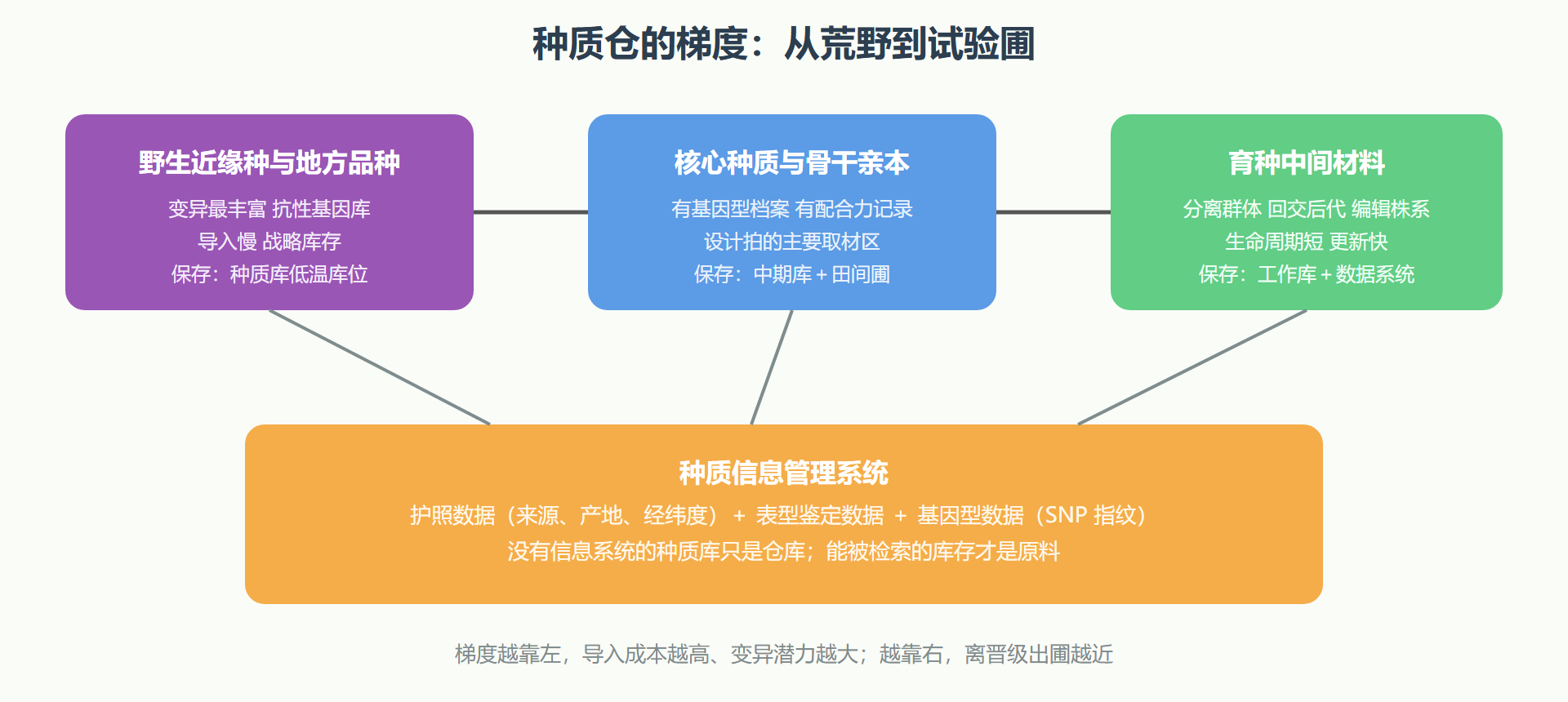 图:种质资源的梯度与流向