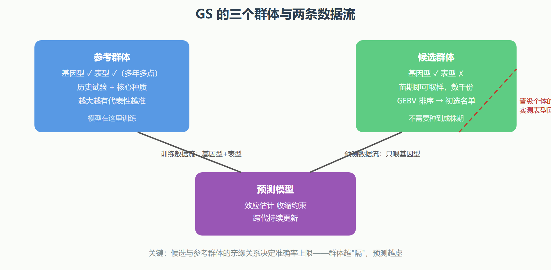 图:参考群体、候选群体与循环的关系