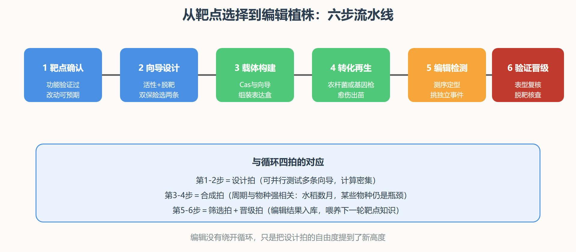 图:一个编辑任务的标准流水线