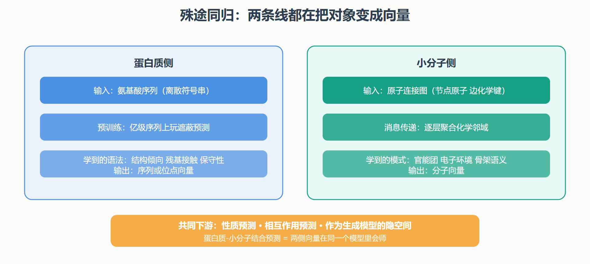 图：两条表征路线的对称结构